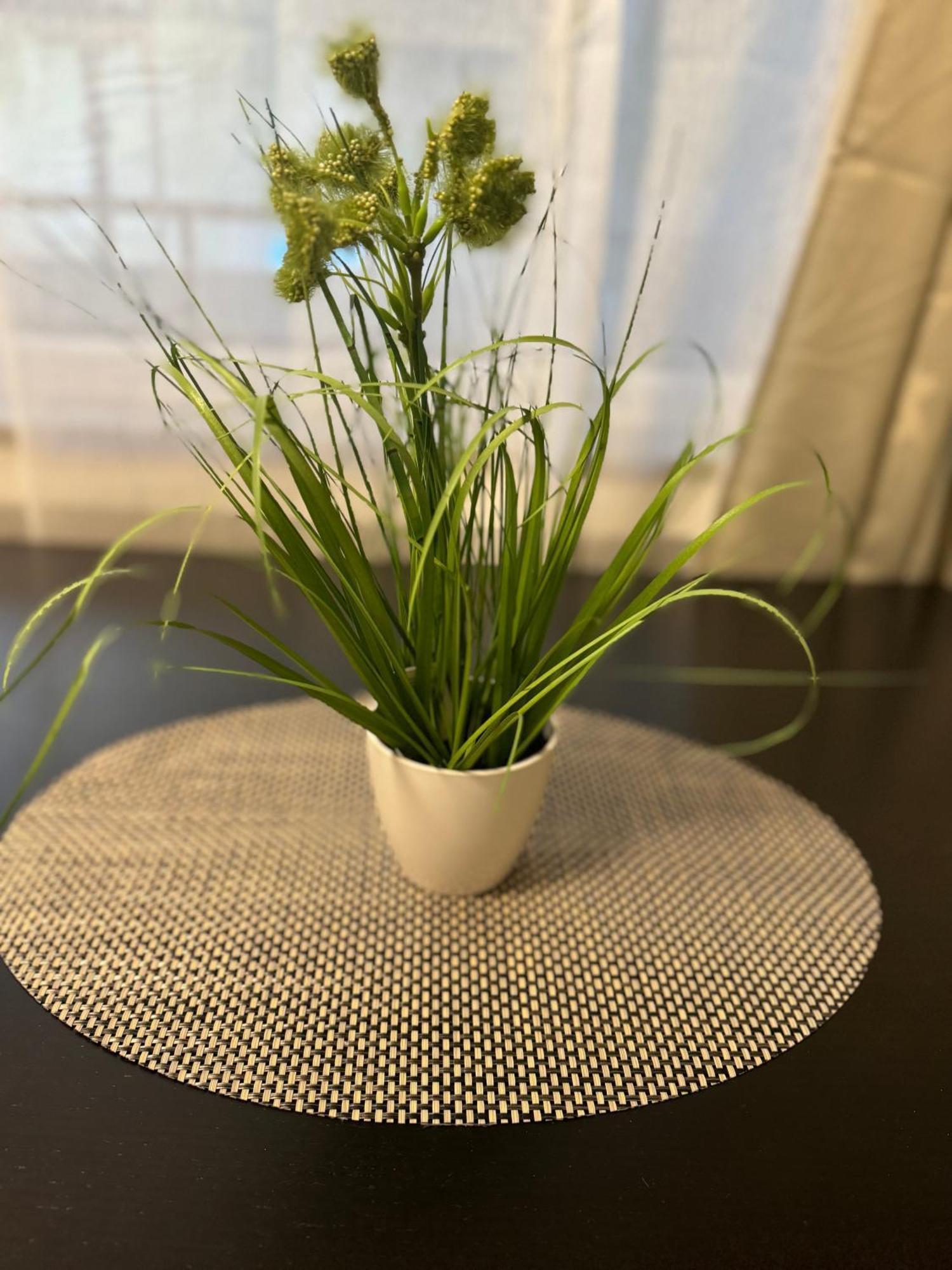 M&Bluxux Apartaments Krefeld Kültér fotó